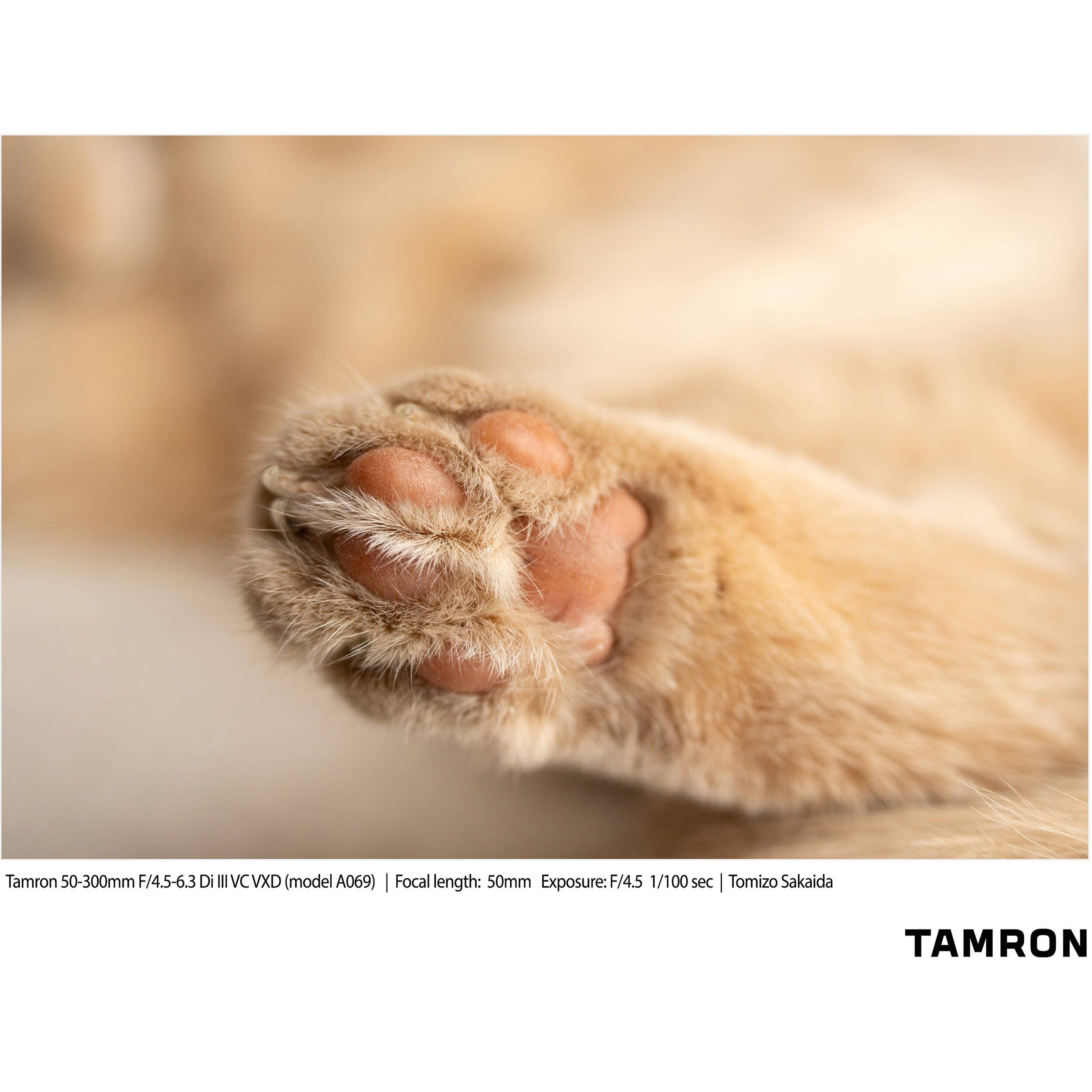 A069S | Tamron 50-300mm f/4.5-6.3 Di III VC VXD for SONY E