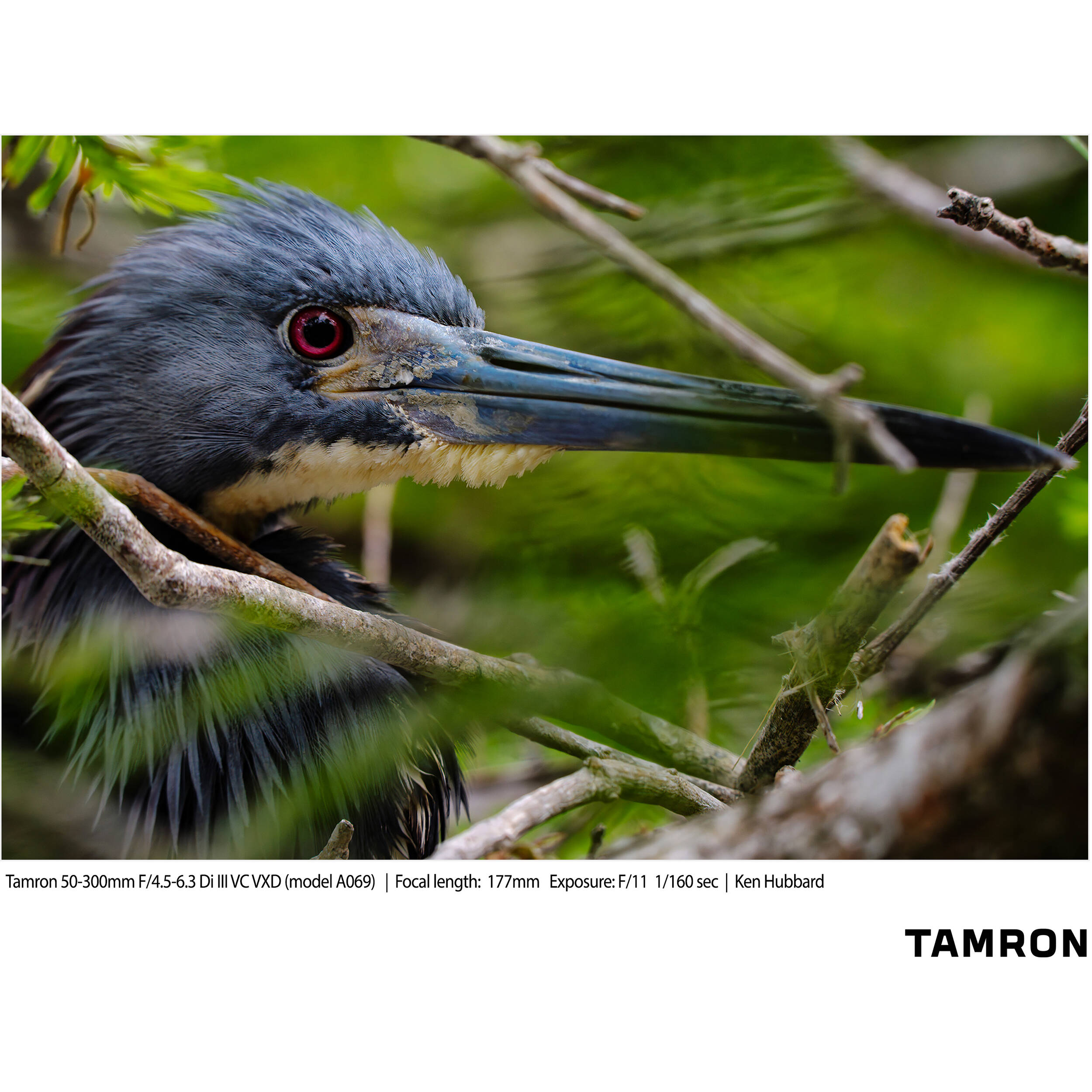 A069S | Tamron 50-300mm f/4.5-6.3 Di III VC VXD for SONY E