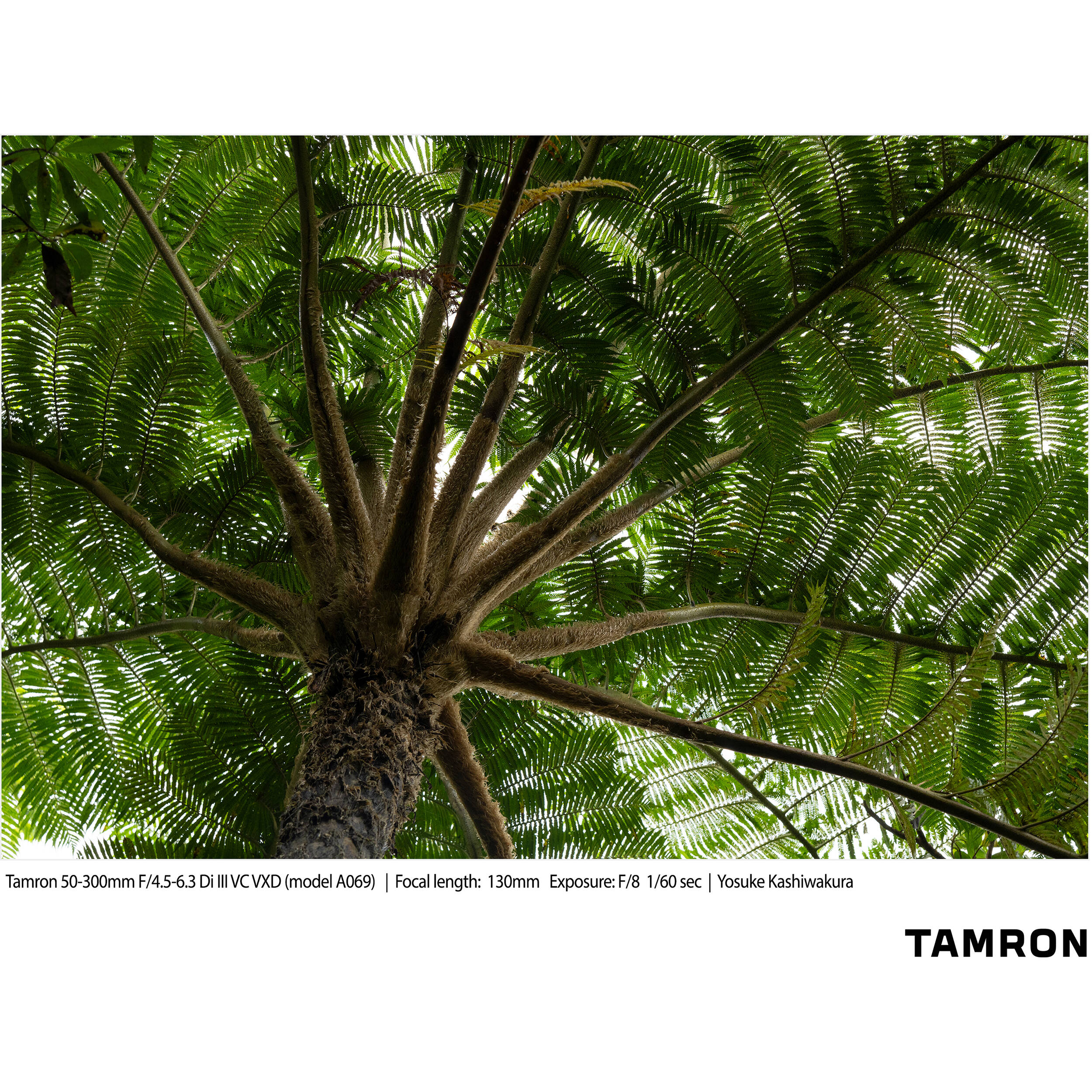 A069S | Tamron 50-300mm f/4.5-6.3 Di III VC VXD for SONY E