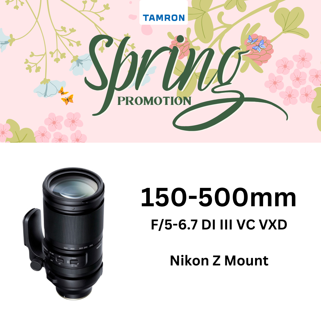 Focal Length Nikon Roadmap Lenses Nikon Z 2020 Lens Nikon