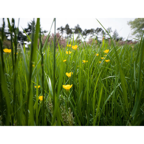 Hasselblad XCD 25mm f/2.5 V Lens