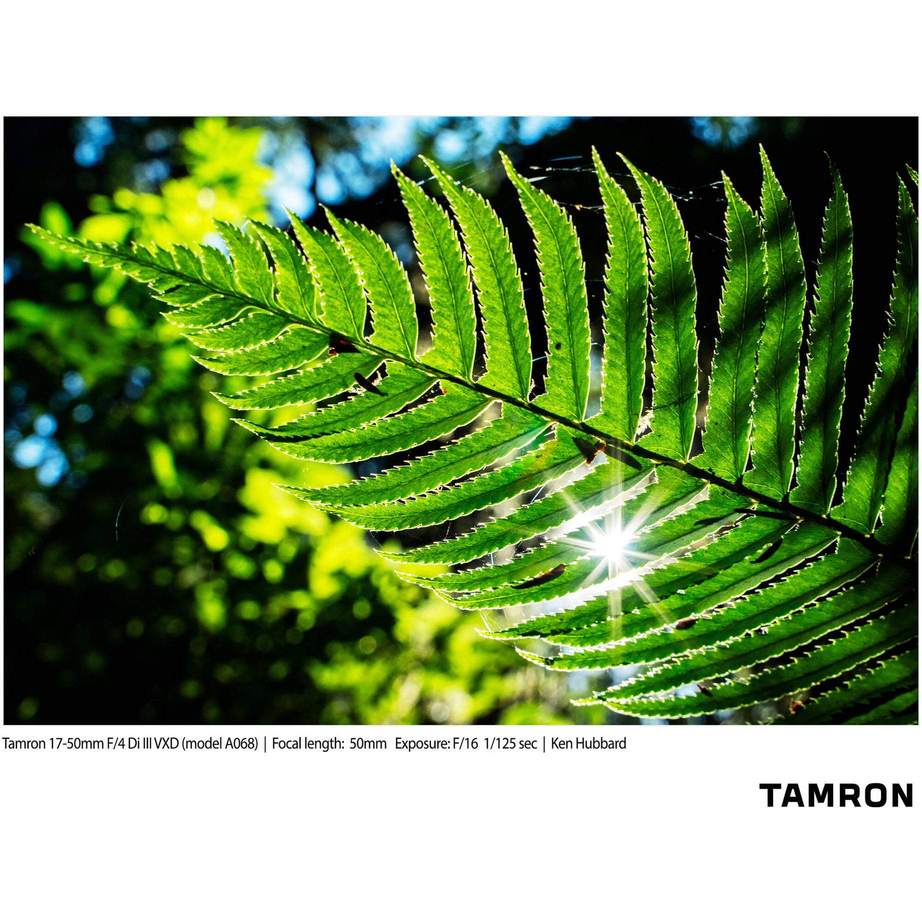 A068S | Tamron 17-50mm F/4 Di III VXD for SONY E