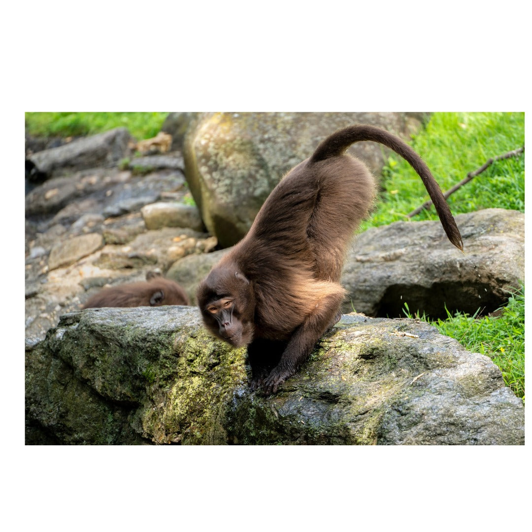 A047Z | Tamron 70-300mm F/4.5-6.3 Di III RXD for Nikon Z