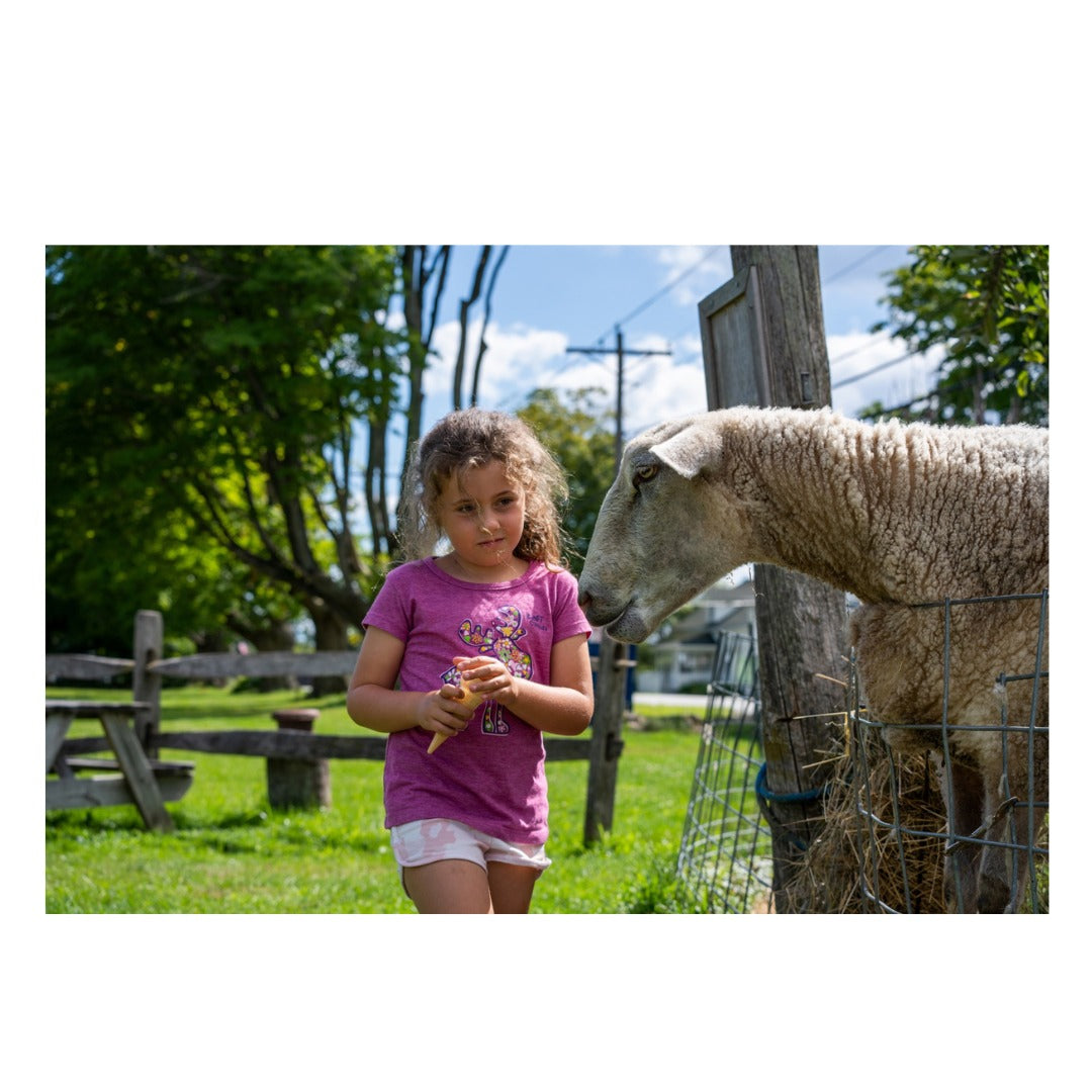 A047Z | Tamron 70-300mm F/4.5-6.3 Di III RXD for Nikon Z