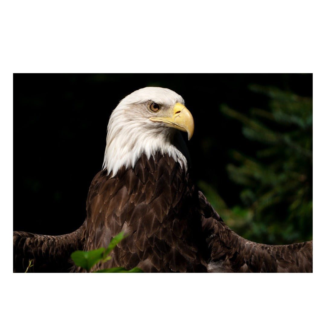 A047Z | Tamron 70-300mm F/4.5-6.3 Di III RXD for Nikon Z