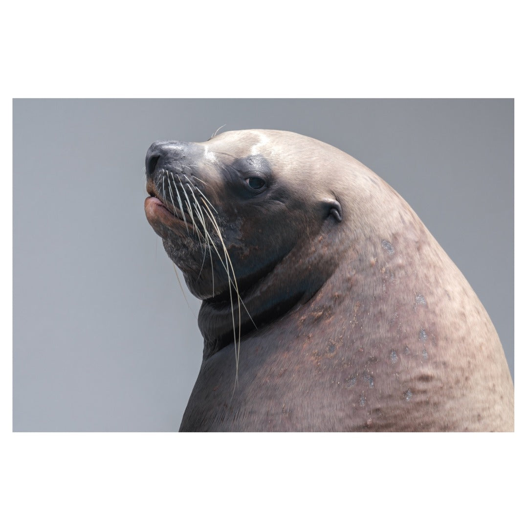 A057S | Tamron 150-500mm F/5-6.7 Di III VC VXD for SONY E