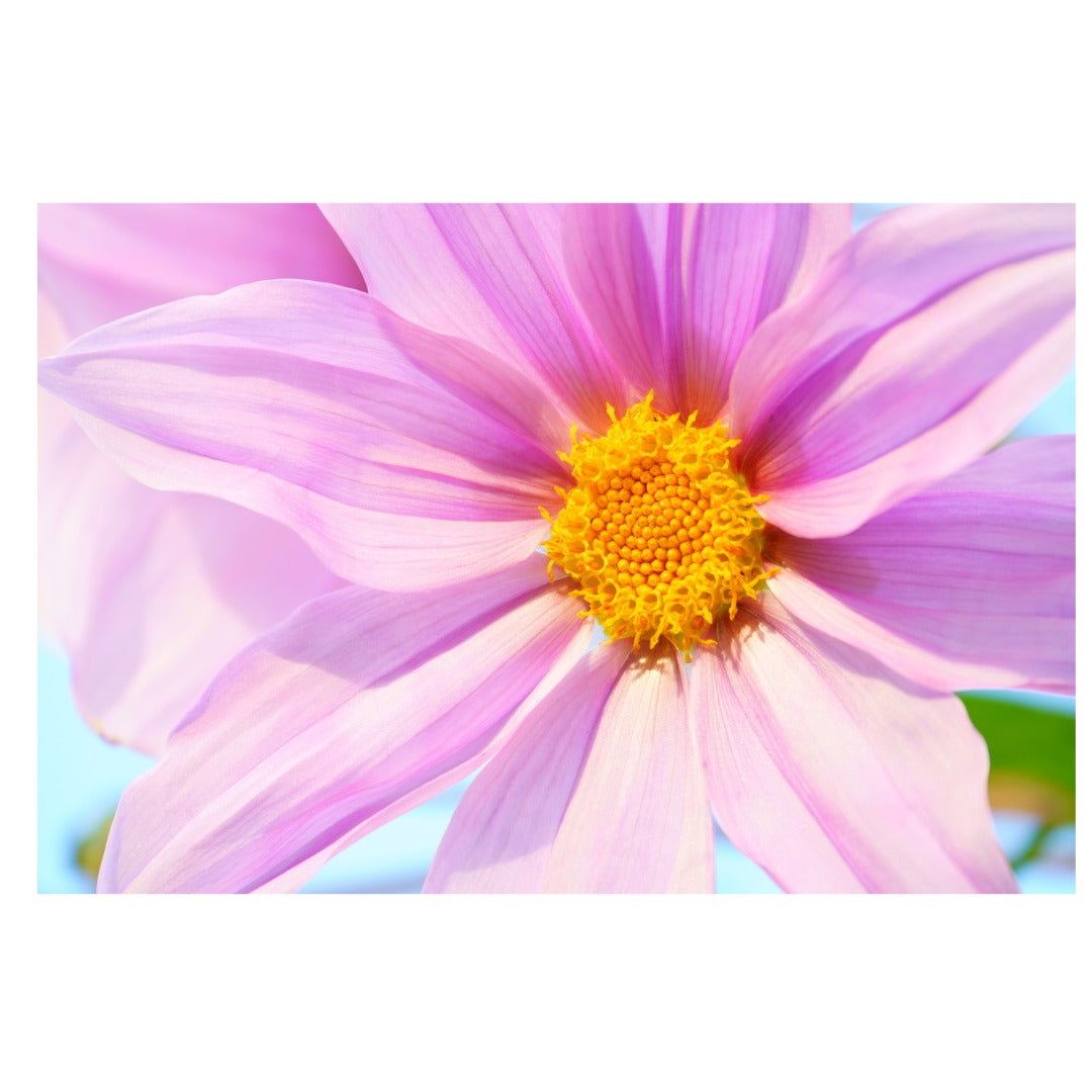 A057X | Tamron 150-500mm F/5-6.7 Di III VC VXD for Fujifilm X