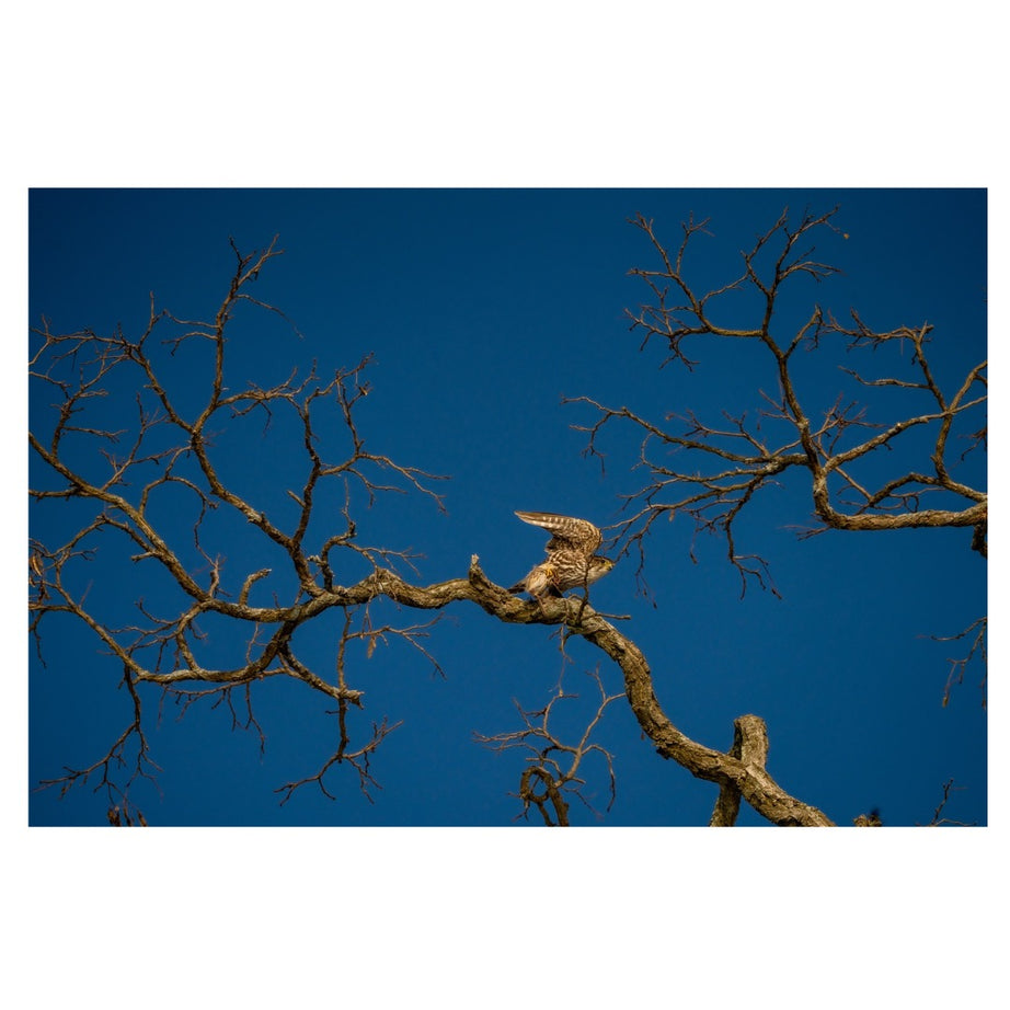 A057X | Tamron 150-500mm F/5-6.7 Di III VC VXD for Fujifilm X