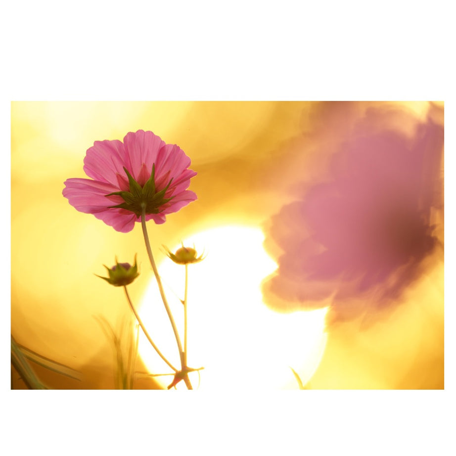 A057X | Tamron 150-500mm F/5-6.7 Di III VC VXD for Fujifilm X