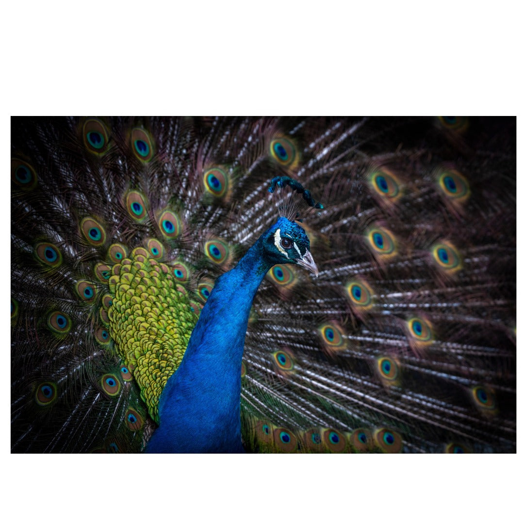 A057Z | Tamron 150-500mm F/5-6.7 Di III VC VXD for Nikon Z