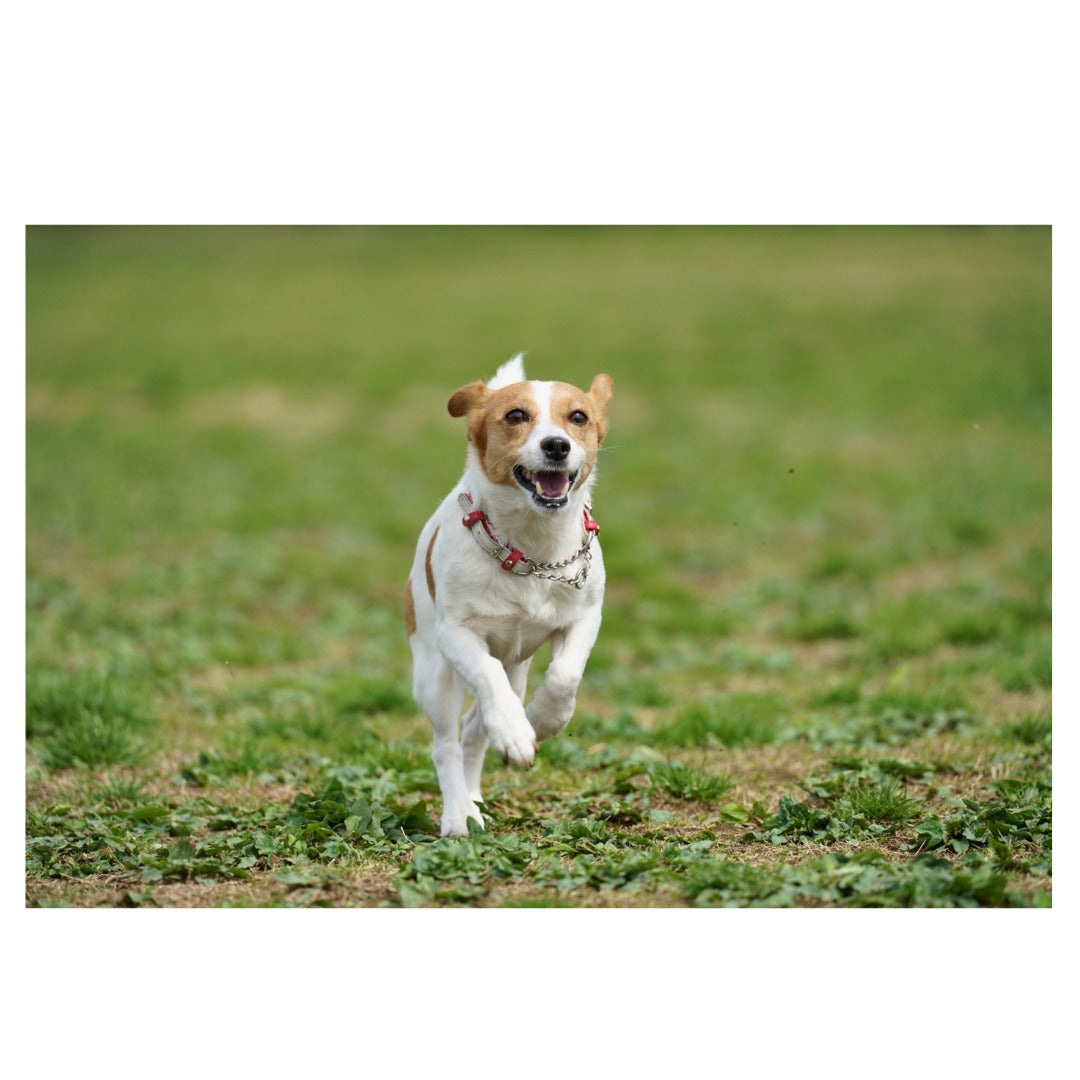 A057X | Tamron 150-500mm F/5-6.7 Di III VC VXD for Fujifilm X