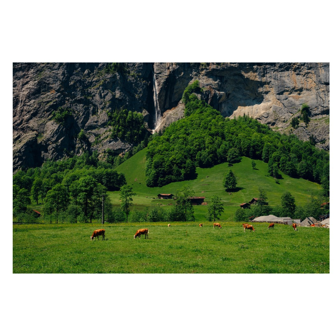 A062S | Tamron 20-40mm F/2.8 Di III VXD   for SONY E