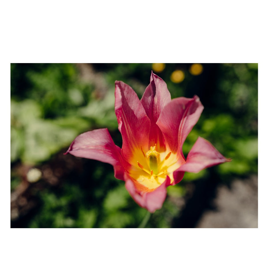 A062S | Tamron 20-40mm F/2.8 Di III VXD   for SONY E