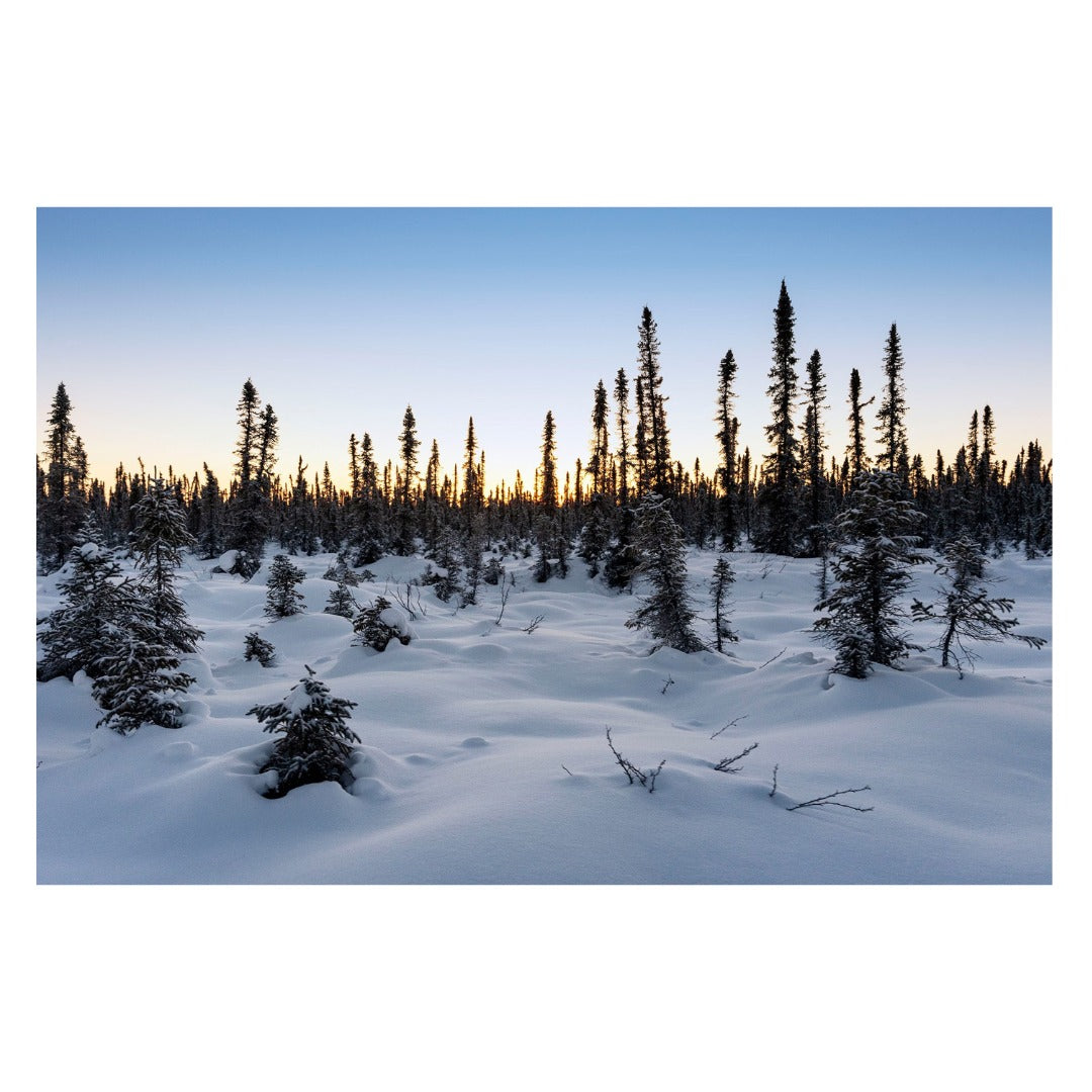 A063S | Tamron 28-75mm F/2.8 Di III VXD G2 w/hood for SONY E