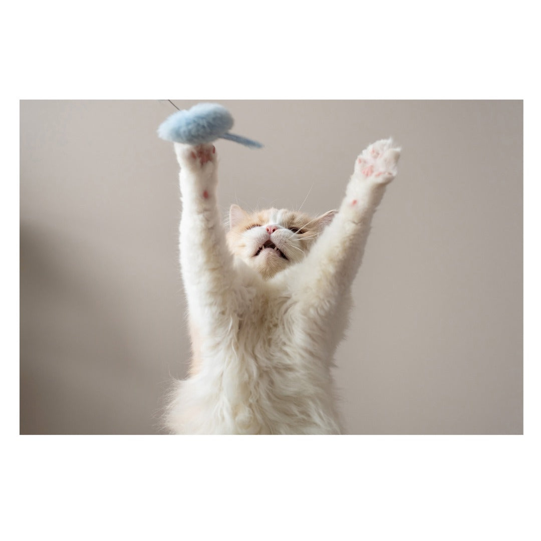 A063S | Tamron 28-75mm F/2.8 Di III VXD G2 w/hood for SONY E