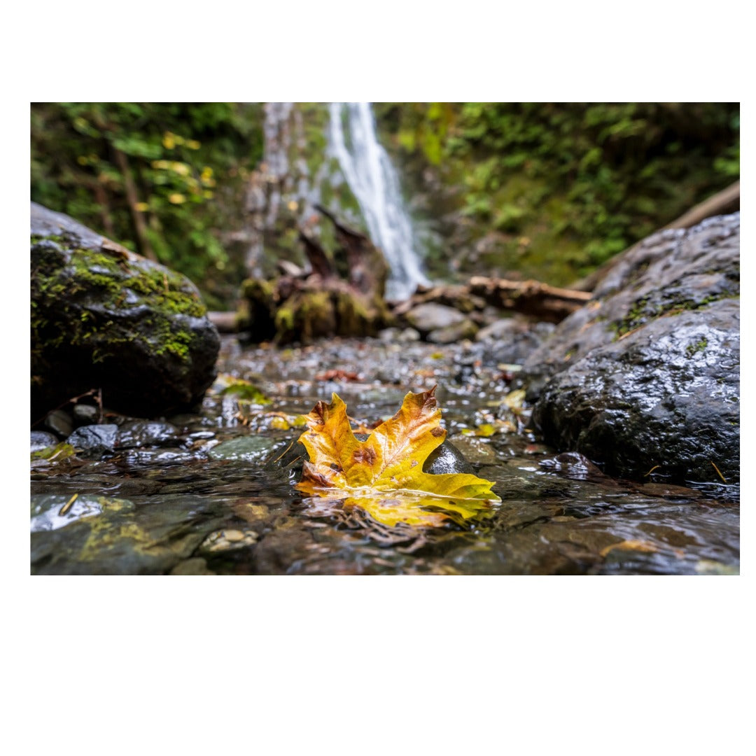 A063Z | Tamron 28-75mm F/2.8 Di III VXD G2 w/hood for Nikon Z