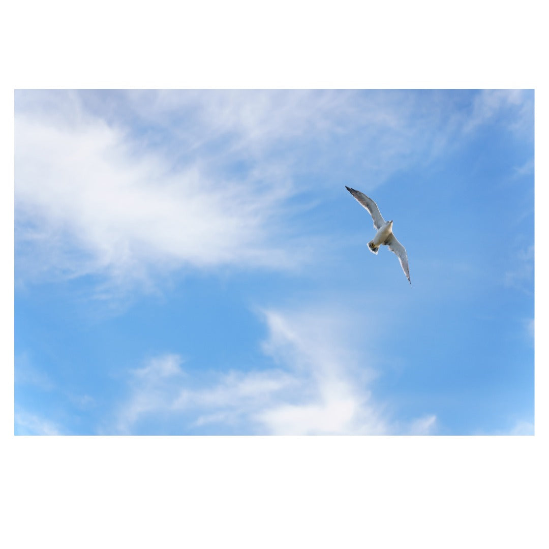 A063S | Tamron 28-75mm F/2.8 Di III VXD G2 w/hood for SONY E