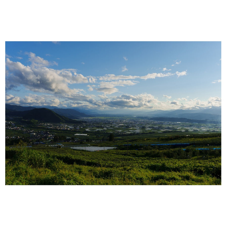 A063S | Tamron 28-75mm F/2.8 Di III VXD G2 w/hood for SONY E