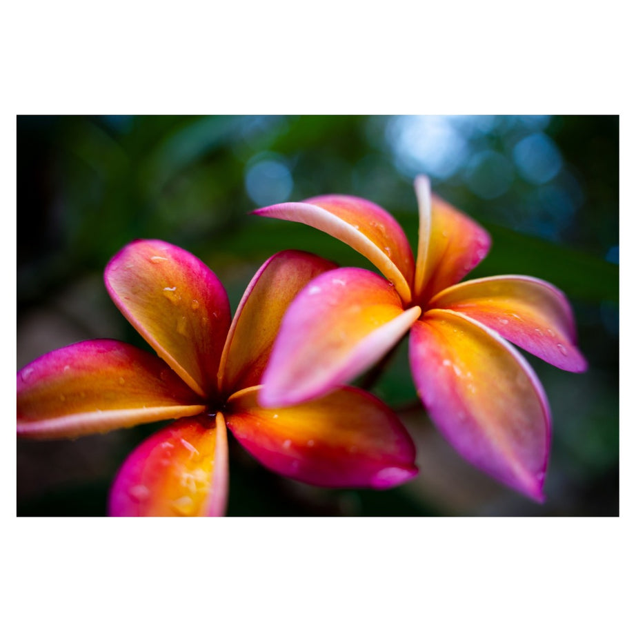 A063S | Tamron 28-75mm F/2.8 Di III VXD G2 w/hood for SONY E