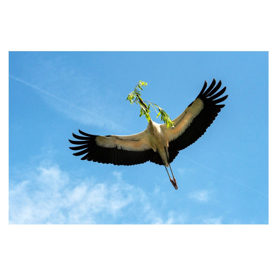 A067Z | Tamron 50-400mm F/4.5-6.3 Di III VC VXD for NIKON Z