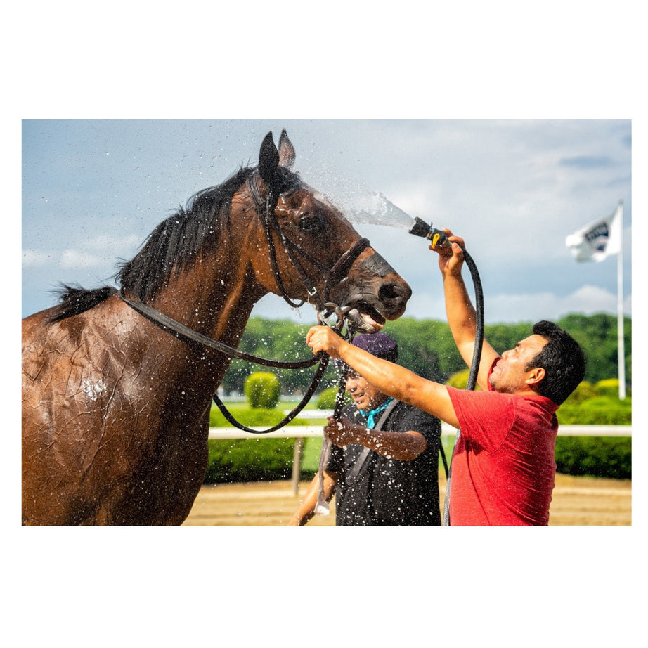 A067S | Tamron 50-400mm F/4.5-6.3 Di III VC VXD for SONY E