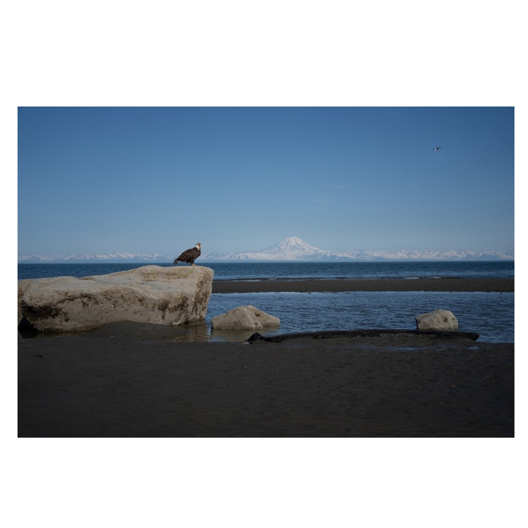 A067S | Tamron 50-400mm F/4.5-6.3 Di III VC VXD for SONY E