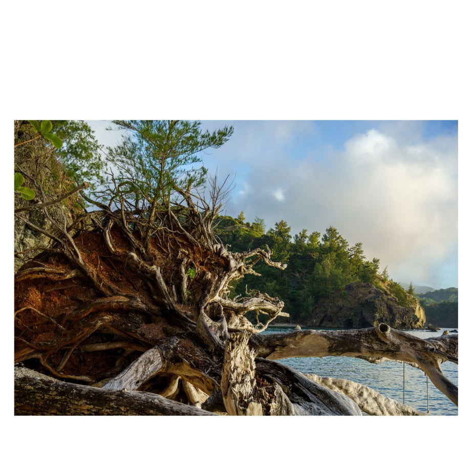 A067S | Tamron 50-400mm F/4.5-6.3 Di III VC VXD for SONY E