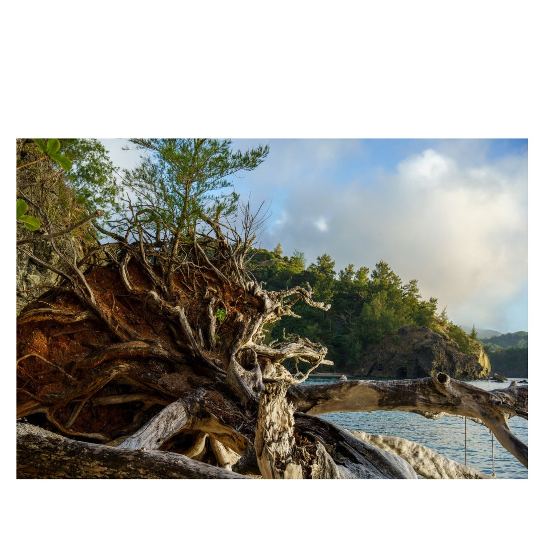 A067S | Tamron 50-400mm F/4.5-6.3 Di III VC VXD for SONY E