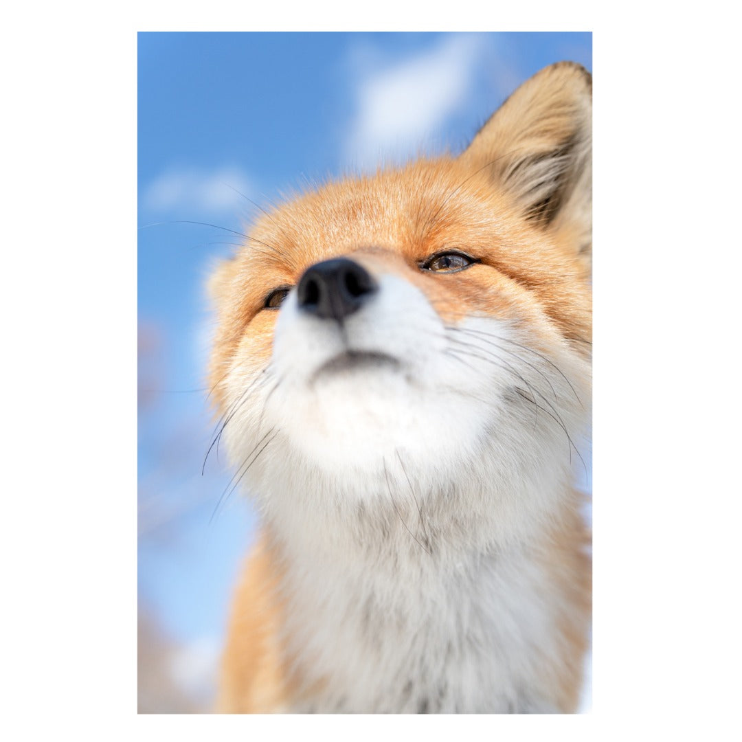 A067Z | Tamron 50-400mm F/4.5-6.3 Di III VC VXD for NIKON Z