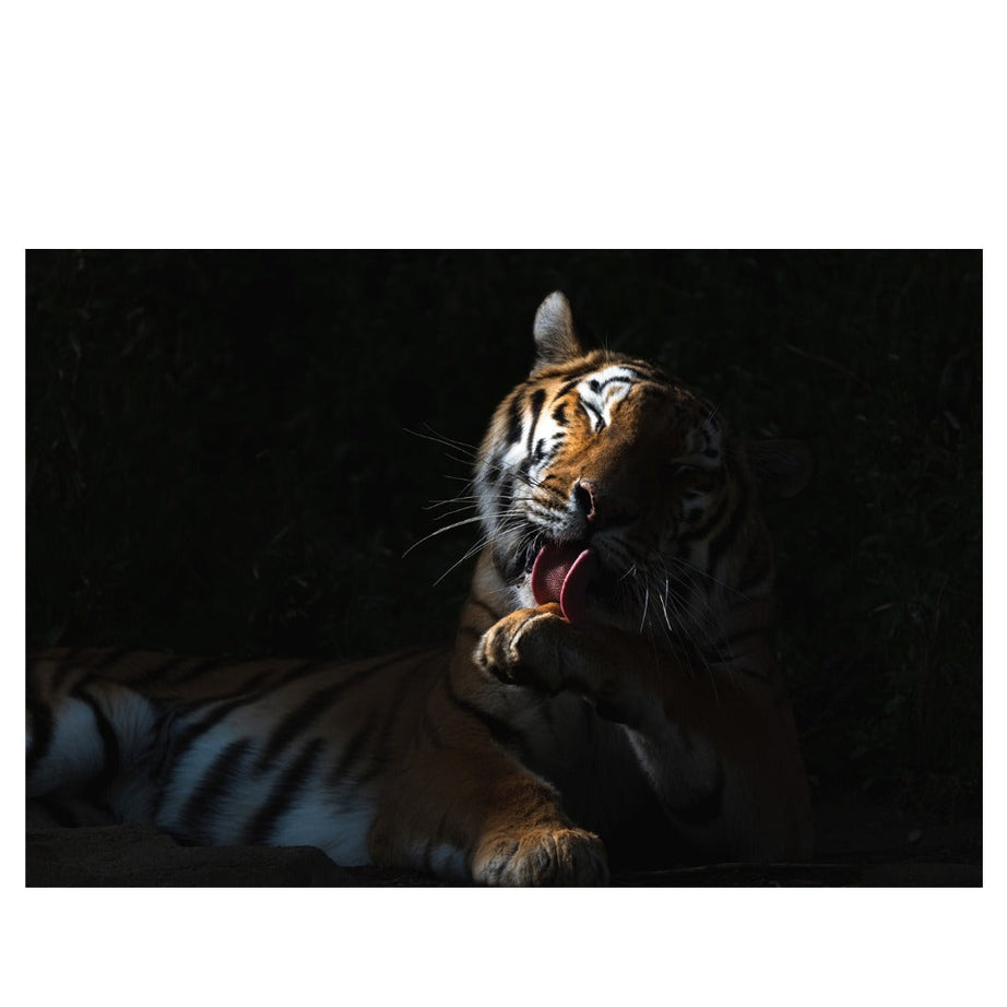 A067Z | Tamron 50-400mm F/4.5-6.3 Di III VC VXD for NIKON Z