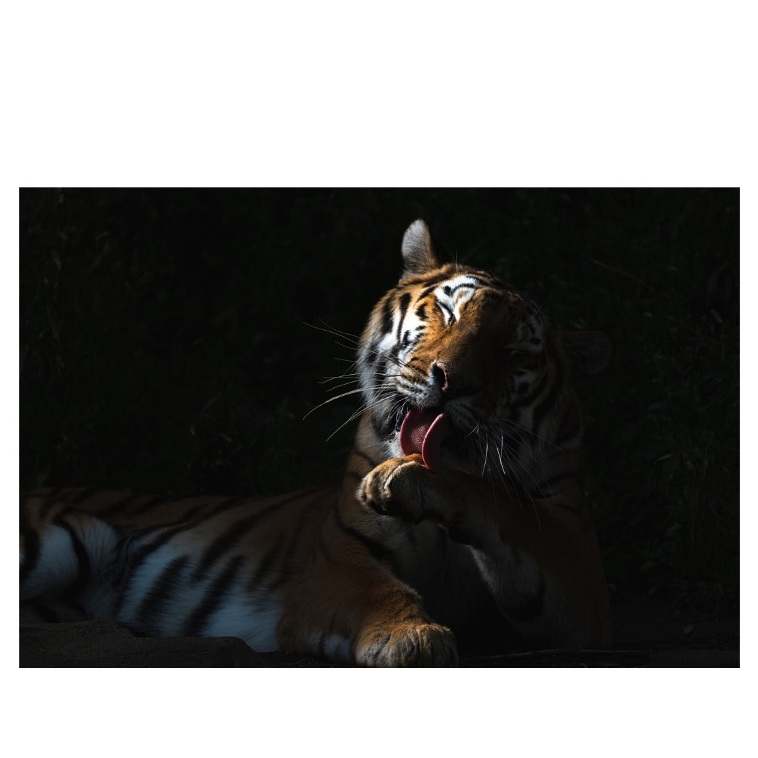 A067Z | Tamron 50-400mm F/4.5-6.3 Di III VC VXD for NIKON Z