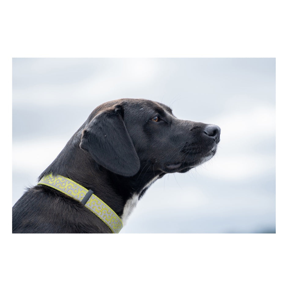 A071S | Tamron 28-200mm F2.8-5.6 Di III RX for SONY E