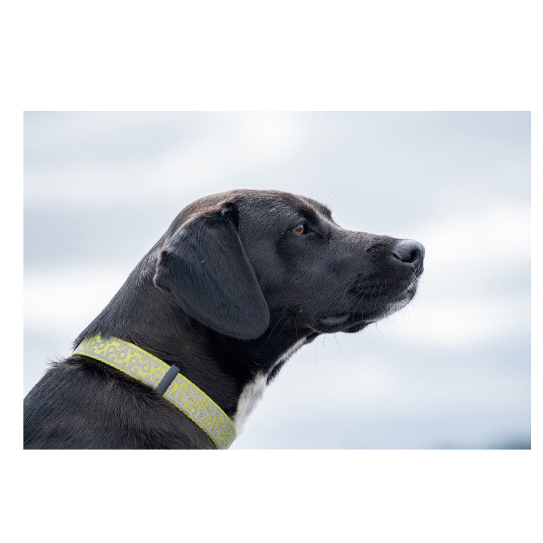 A071S | Tamron 28-200mm F2.8-5.6 Di III RX for SONY E