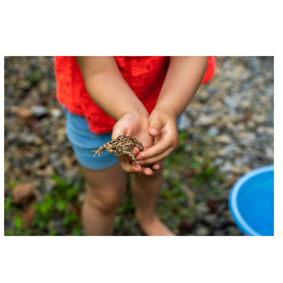 A071S | Tamron 28-200mm F2.8-5.6 Di III RX for SONY E