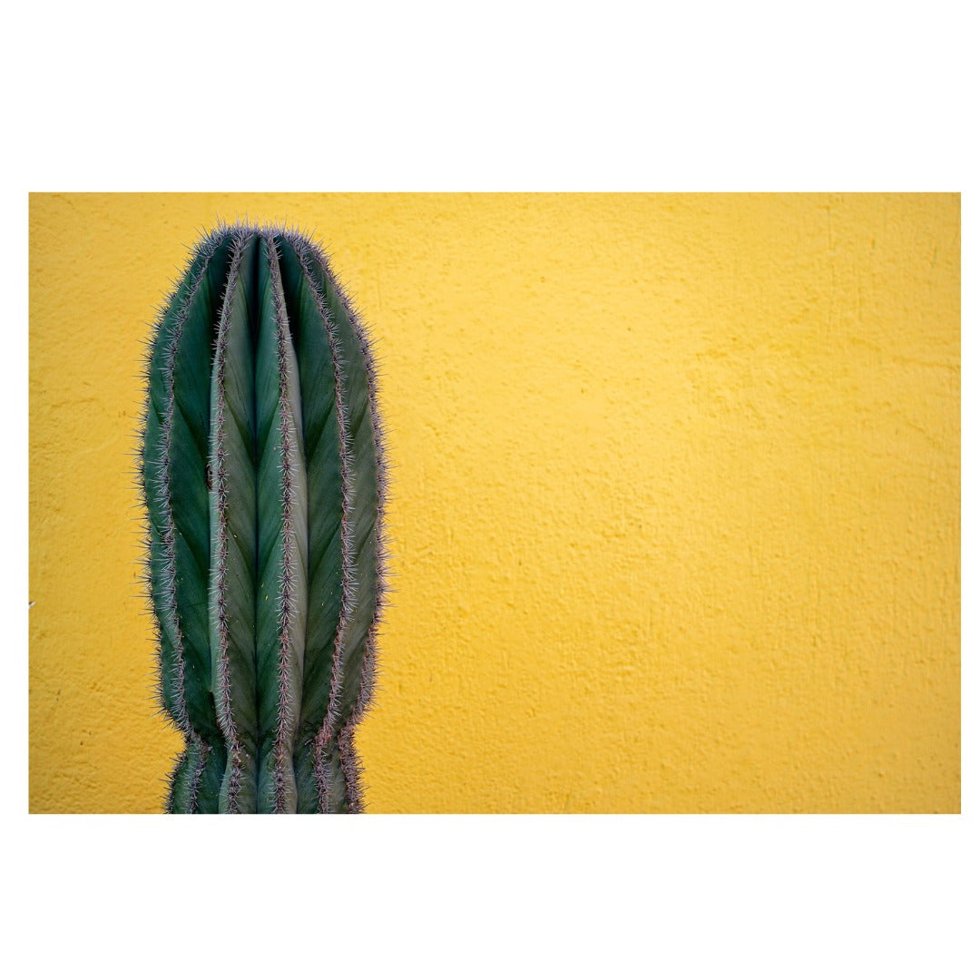 A071S | Tamron 28-200mm F2.8-5.6 Di III RX for SONY E