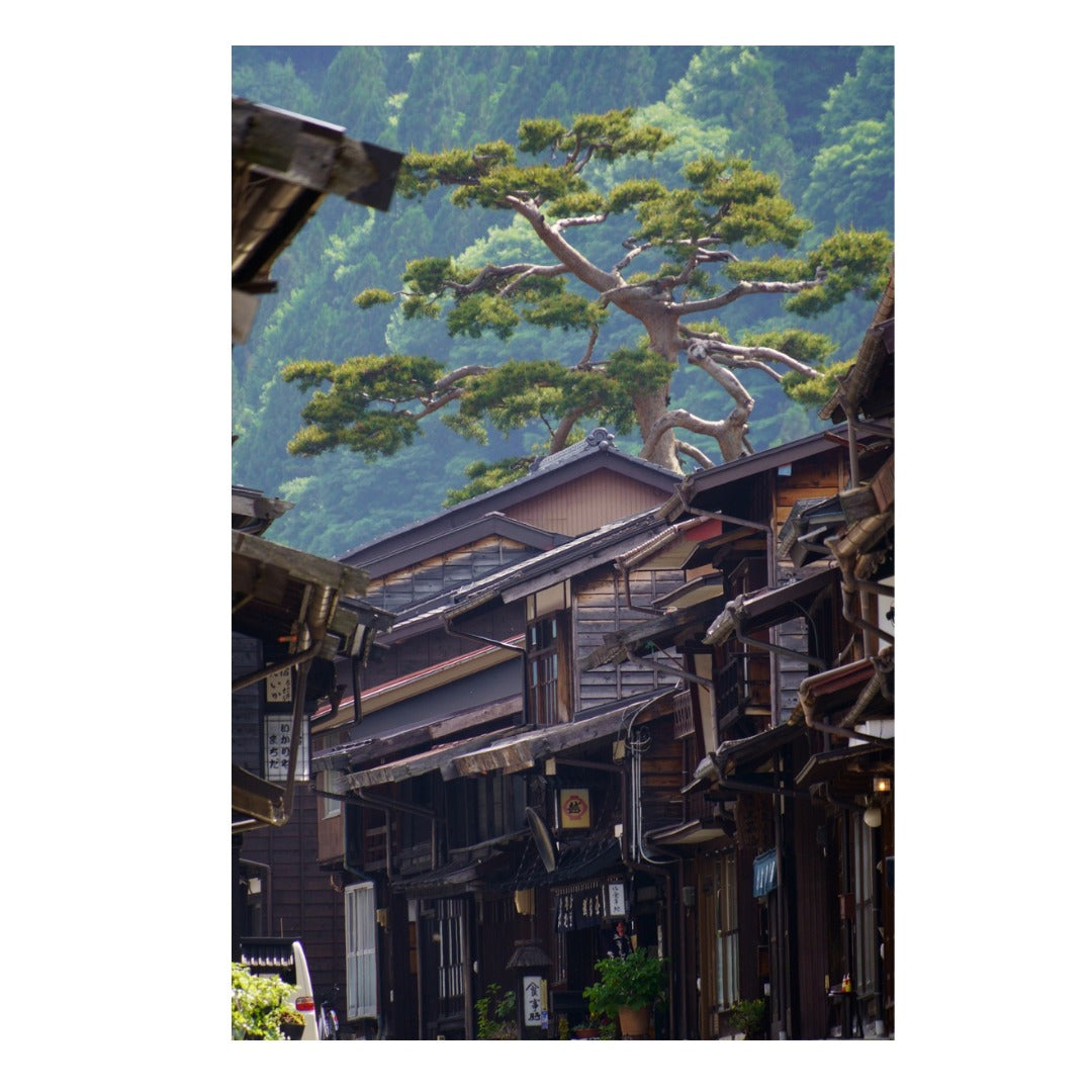 B061S | Tamron 18-300mm F/3.5-6.3 Di III-A VC VXD - (APS-C Mirrorless) for SONY E