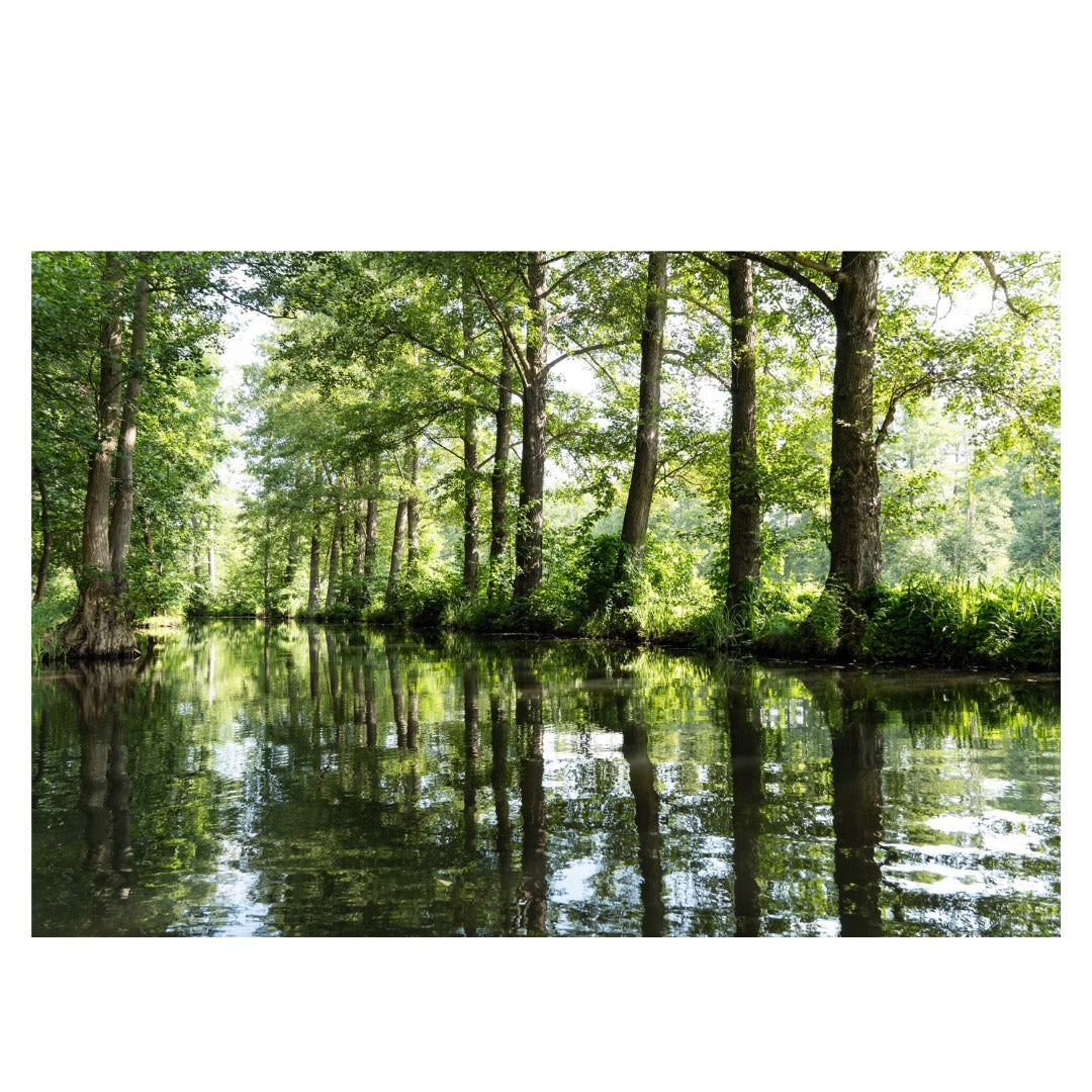 B061S | Tamron 18-300mm F/3.5-6.3 Di III-A VC VXD - (APS-C Mirrorless) for SONY E