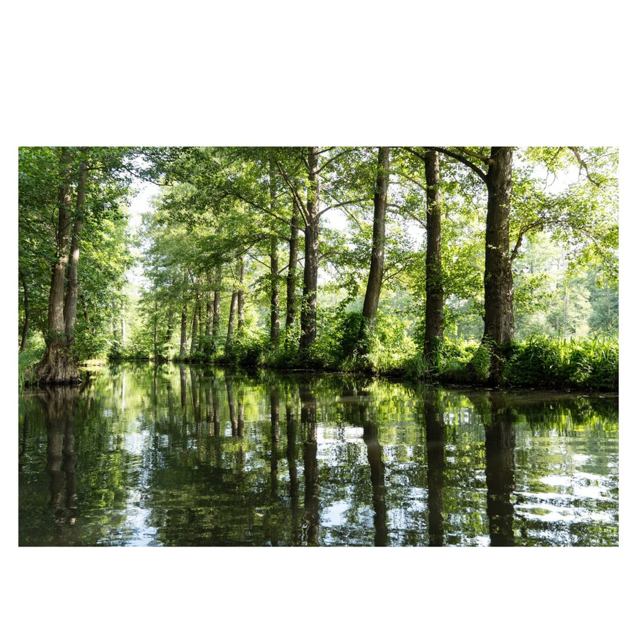 B061Z | Tamron 18-300mm F/3.5-6.3 Di III-A VC VXD for Nikon Z