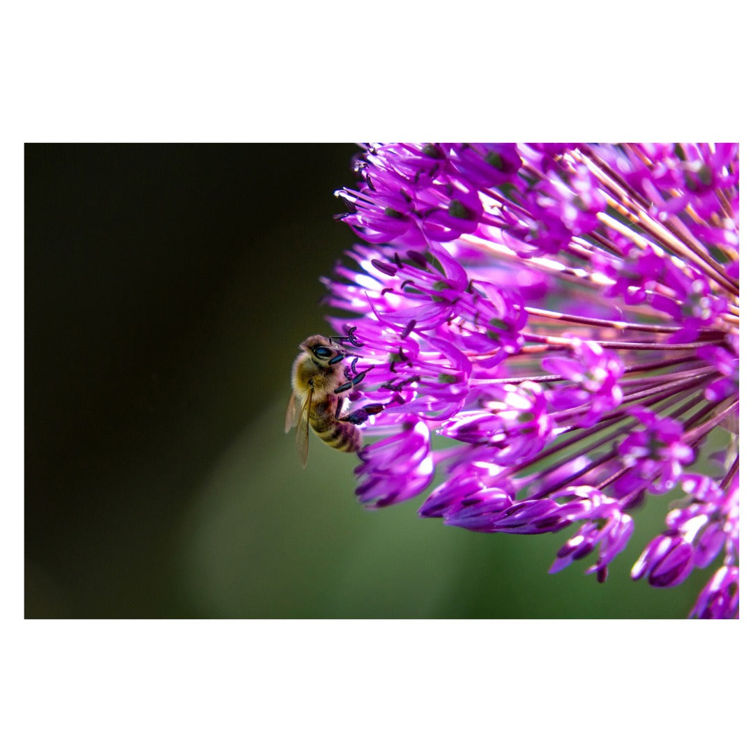 B061S | Tamron 18-300mm F/3.5-6.3 Di III-A VC VXD - (APS-C Mirrorless) for SONY E