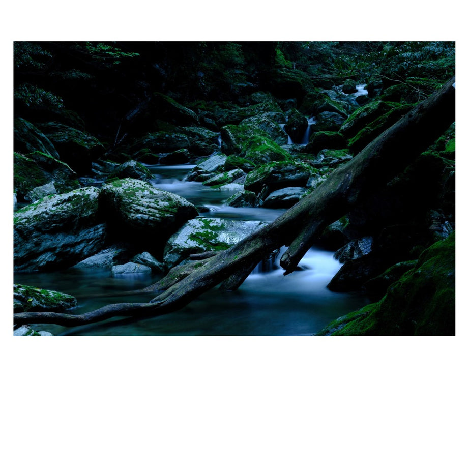 B070S | Tamron 17-70mm F/2.8 Di III-A VC RXD (APS-C Mirrorless) for SONY E