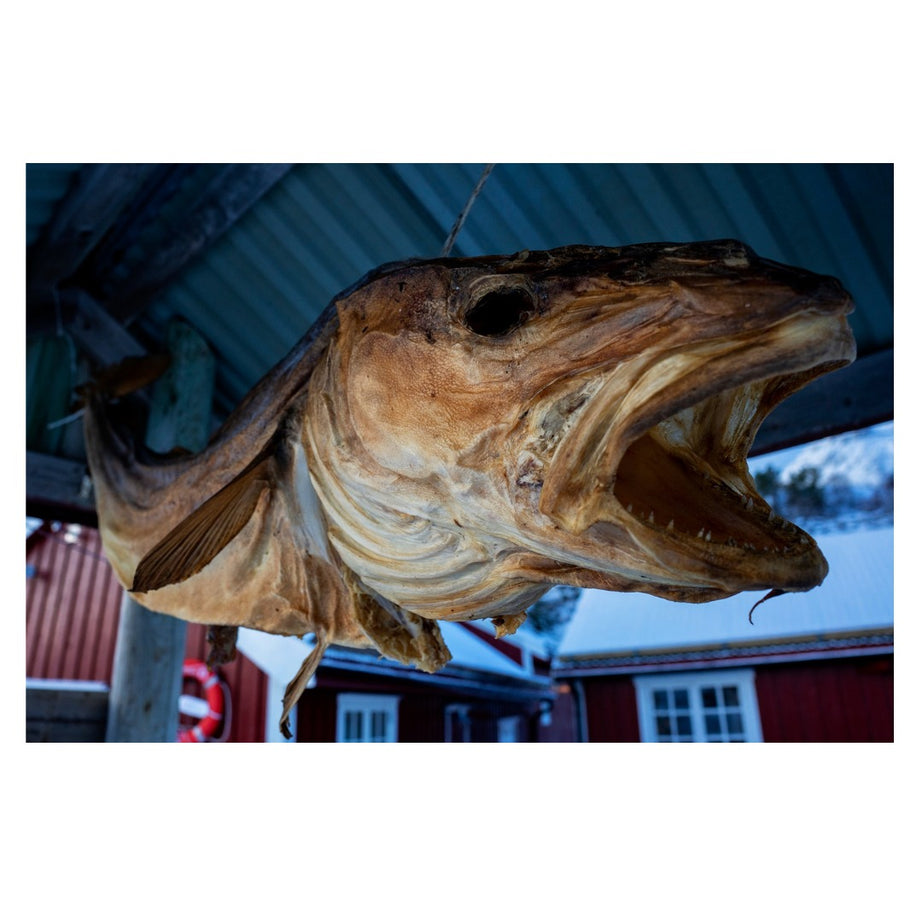 F050SE | Tamron 20mm F/2.8 DI III OSD M1:2 for SONY E