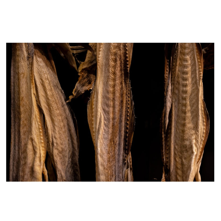 F050SE | Tamron 20mm F/2.8 DI III OSD M1:2 for SONY E