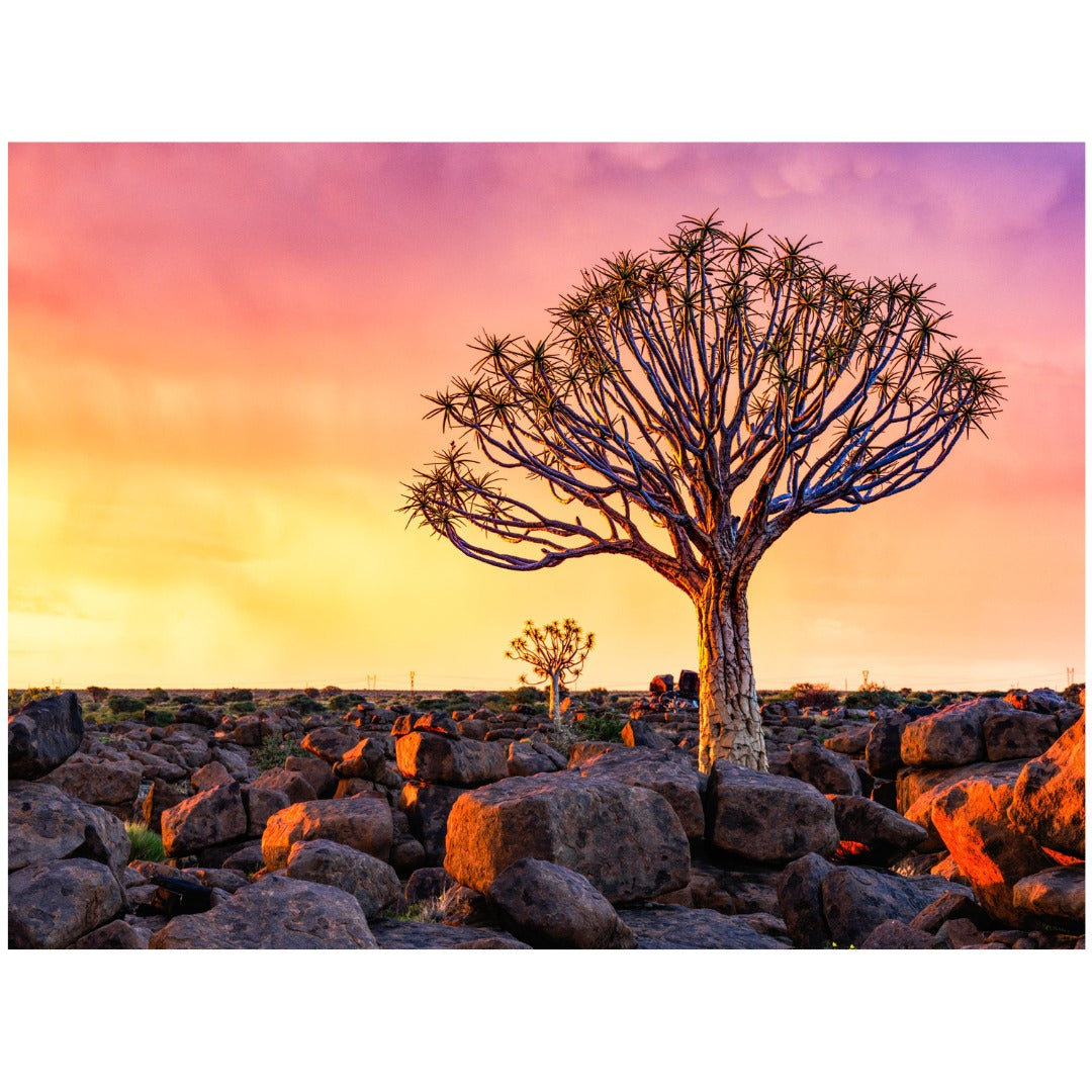 Hasselblad  Lens XCD 135mm + Teleconverter X1.7 ƒ2.8