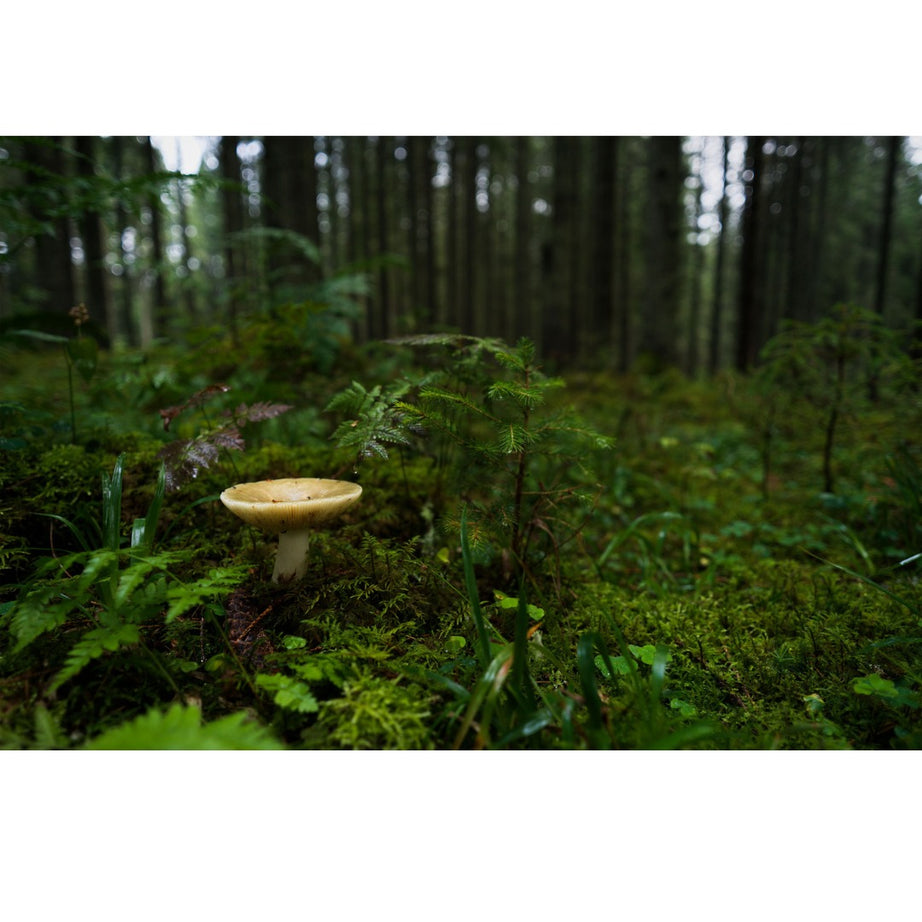 Hasselblad XCD 28mm f/4 P Lens