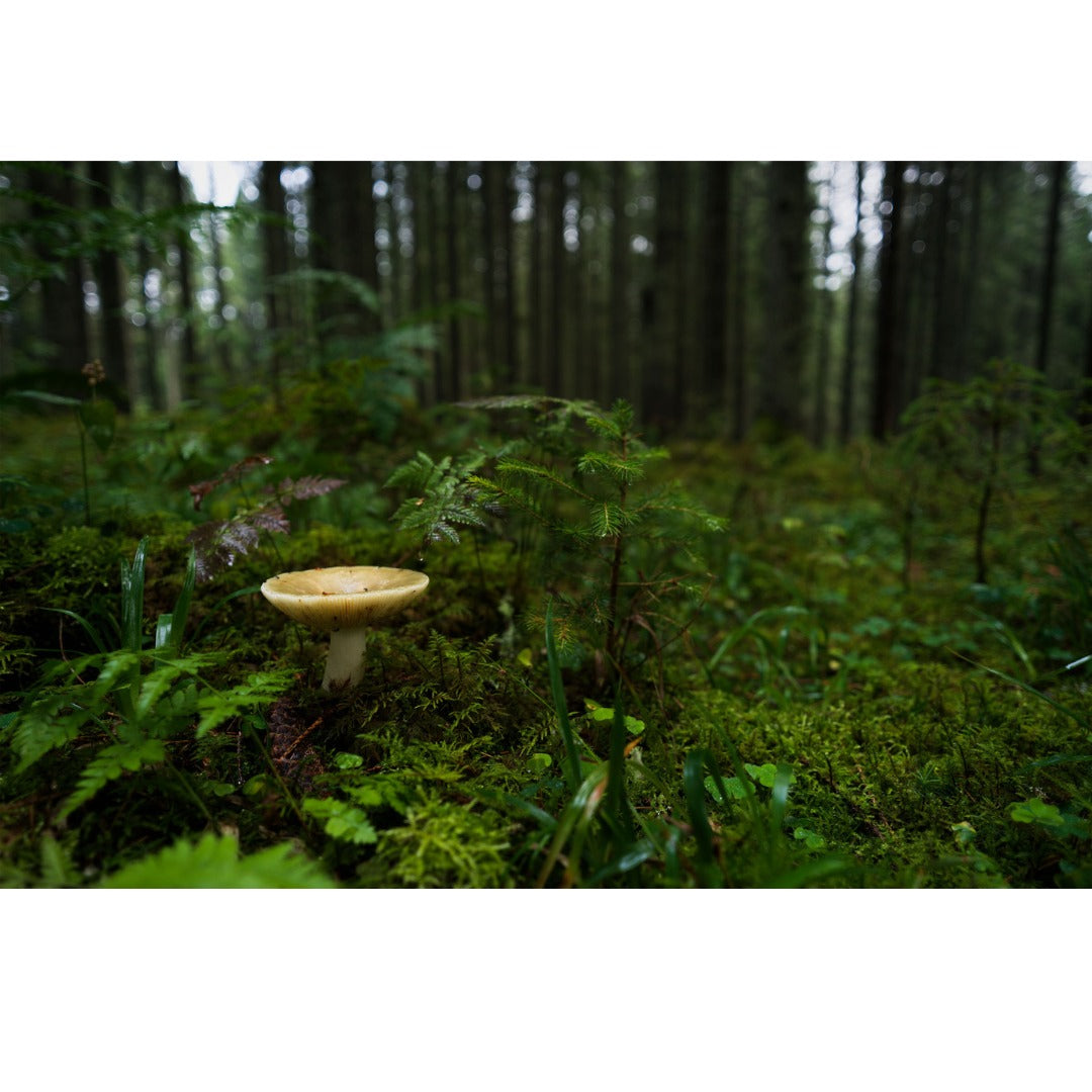 Hasselblad XCD 28mm f/4 P Lens