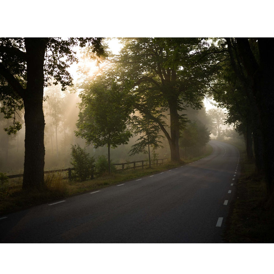 Hasselblad XCD 55mm f/2.5 V Lens