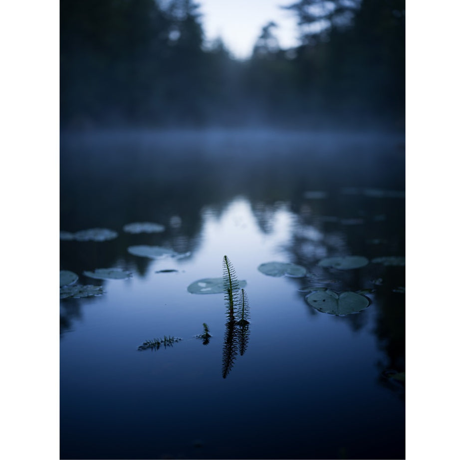 Hasselblad XCD 55mm f/2.5 V Lens