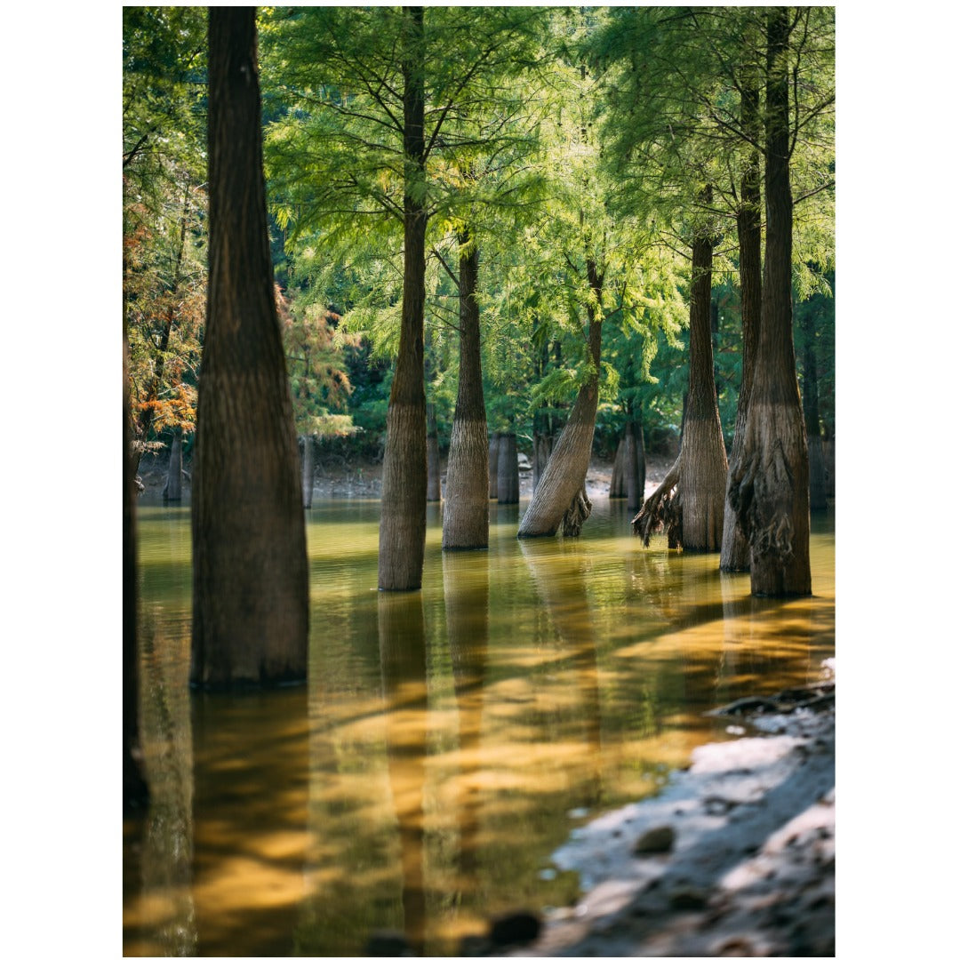 Hasselblad Lens XCD 80mm ƒ1.9