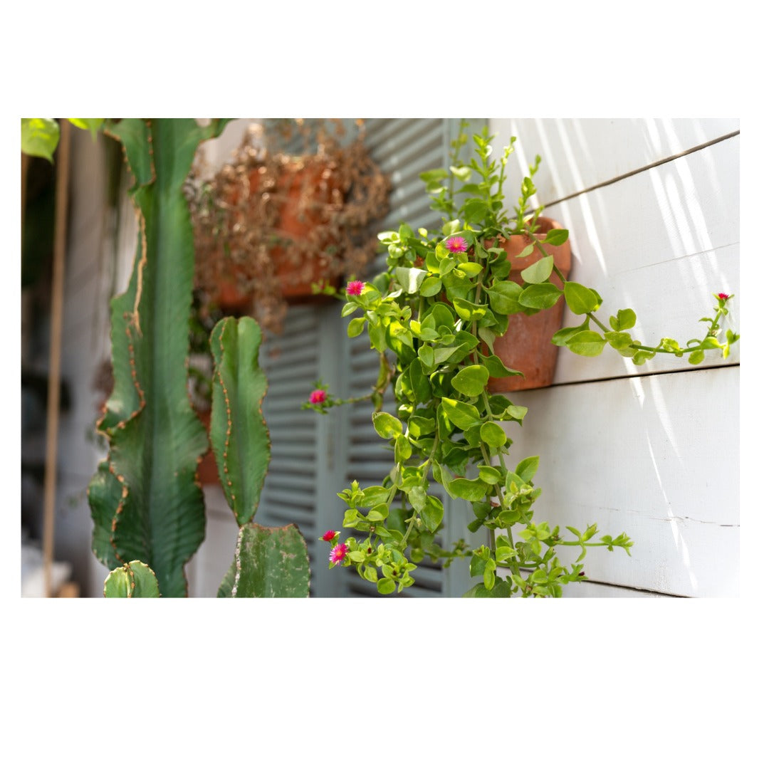 A058Z | Tamron 35-150mm F/2-2.8 Di III VXD for Nikon Z