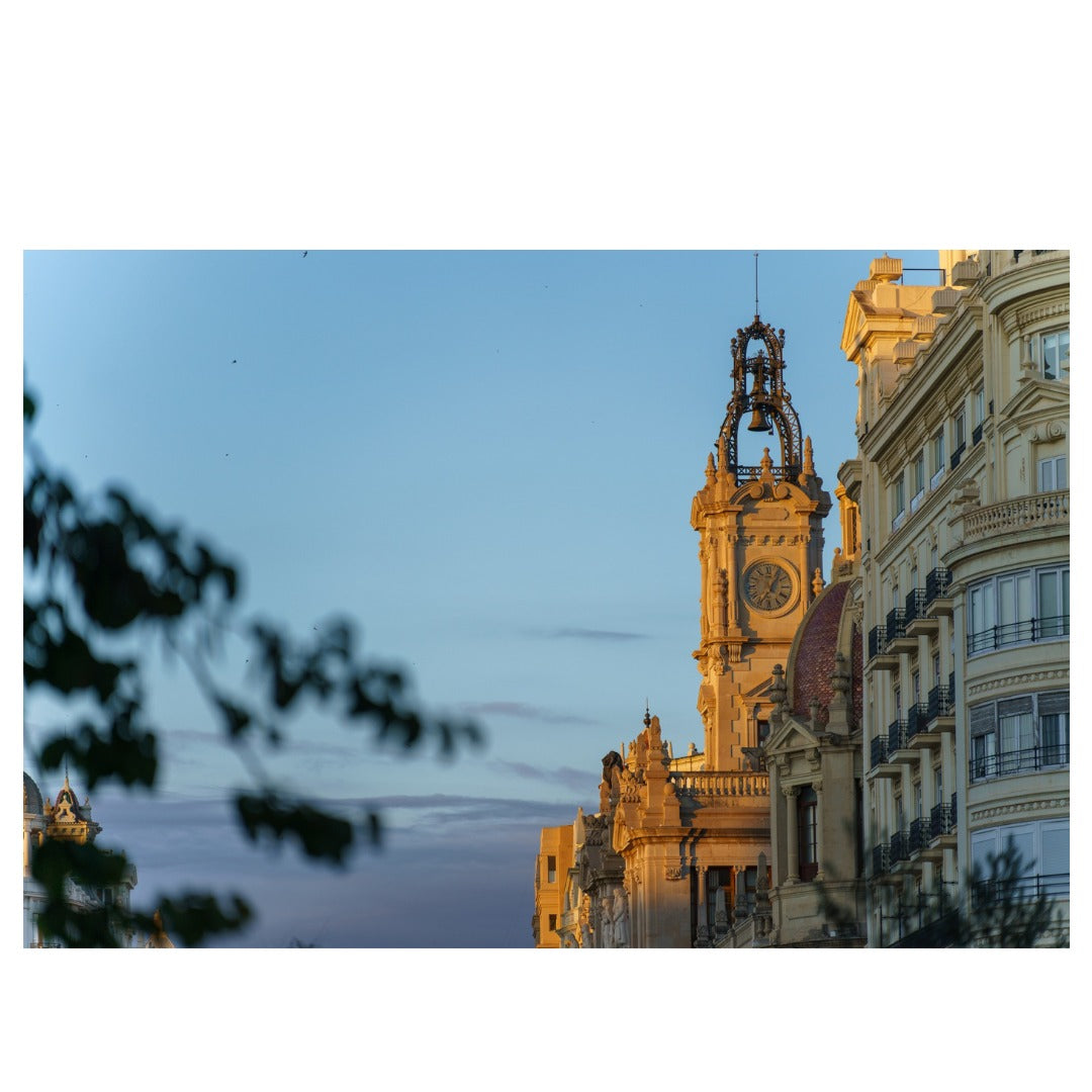 A058S | Tamron 35-150mm F/2-2.8 Di III VXD for SONY E